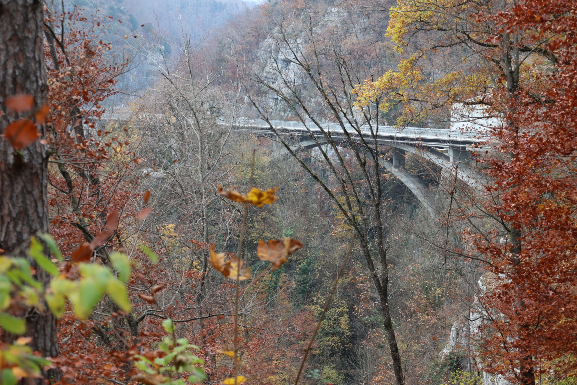 PGLP Formation routière
